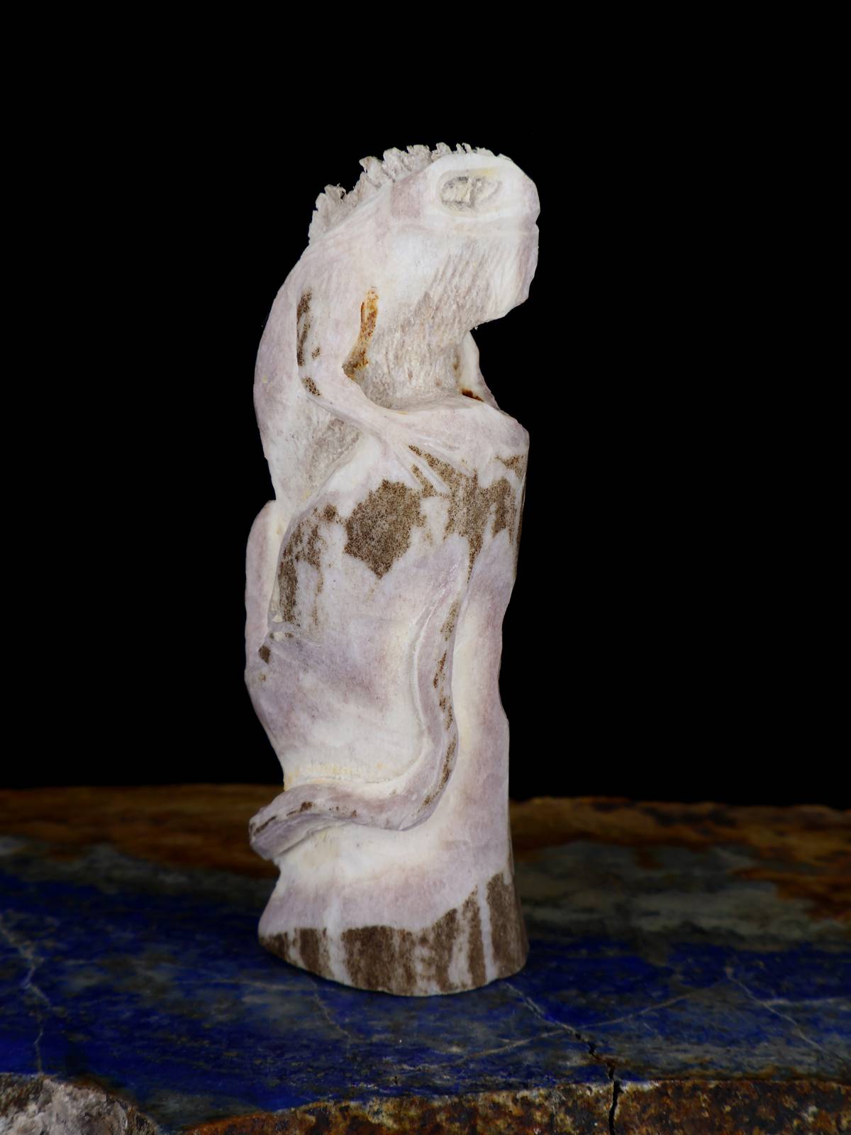 Antler Lizard Zuni Fetish - PuebloDirect.com