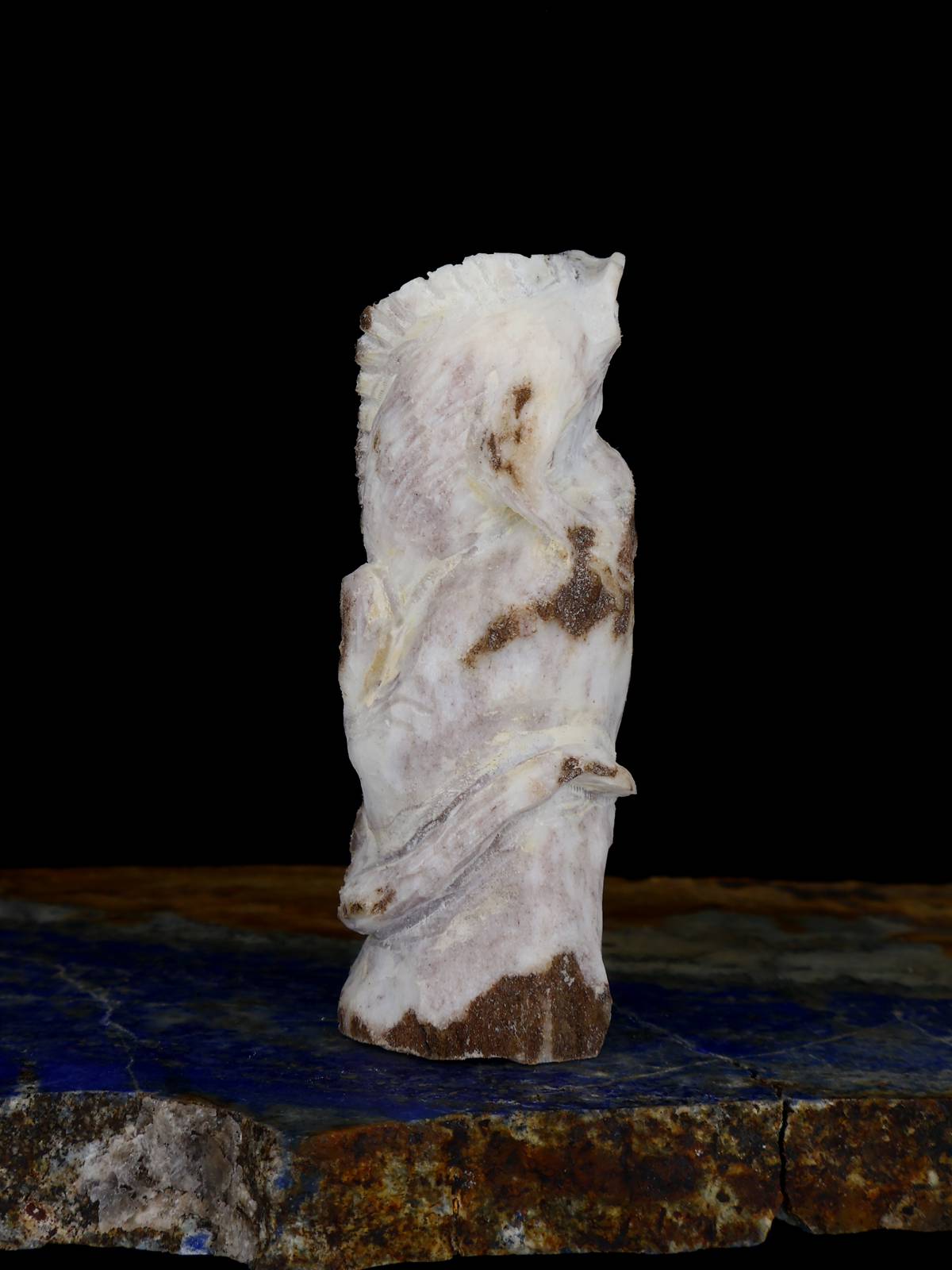 Antler Lizard Zuni Fetish - PuebloDirect.com