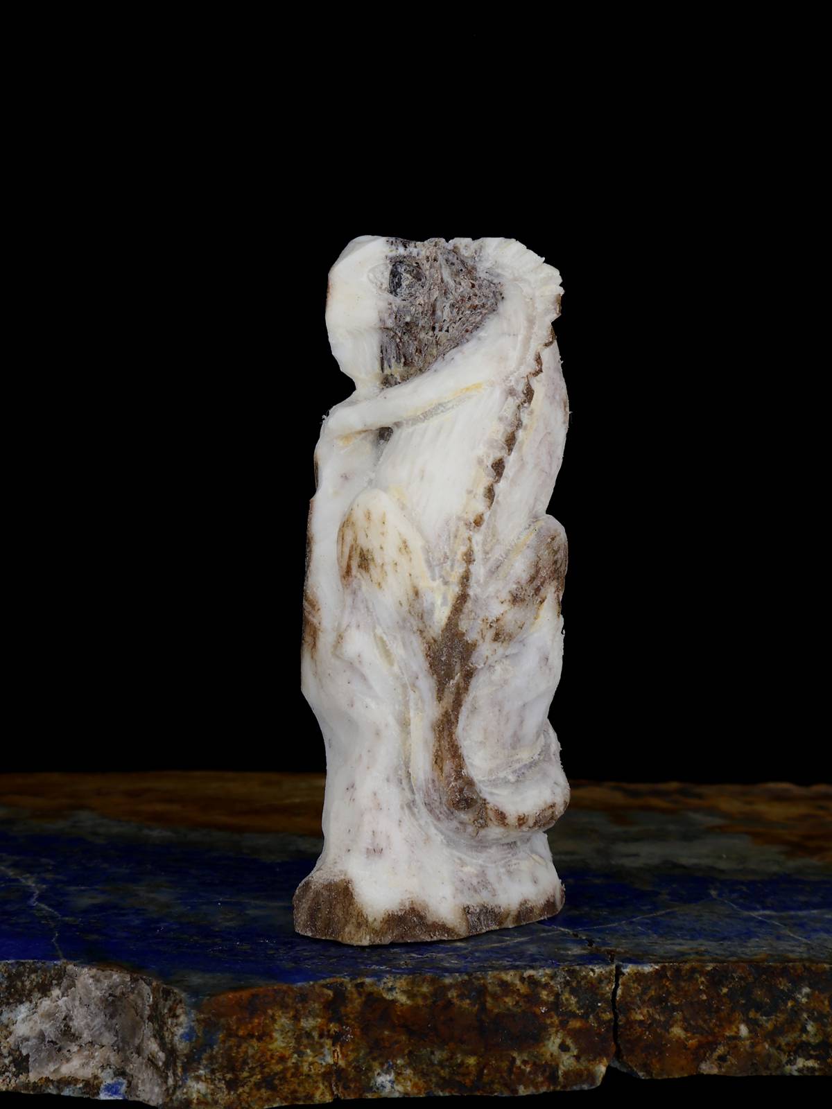 Antler Lizard Zuni Fetish - PuebloDirect.com