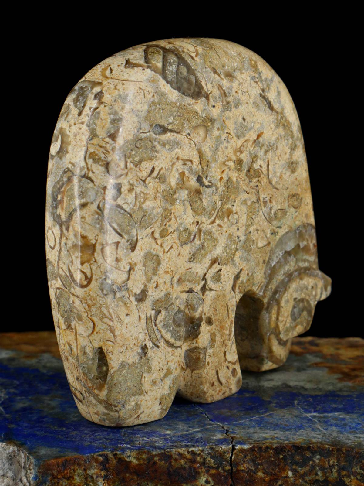 Fossil Stone Bear Zuni Fetish - PuebloDirect.com