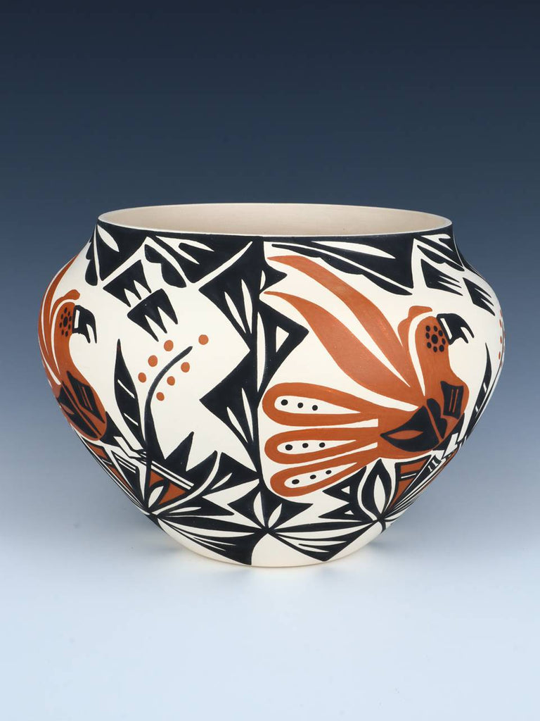 Acoma Pueblo Parrot Pottery Bowl - PuebloDirect.com