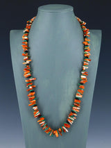 Collar de turquesa de una sola hebra de joyería india nativa americana