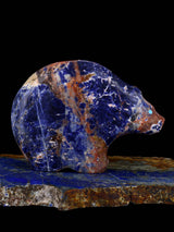 Sodalite Bear Zuni Fetish