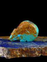 Turquoise Bear Zuni Fetish