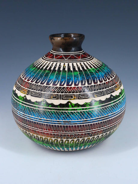 Navajo Etched Turtle Painted Horsehair Pottery - PuebloDirect.com