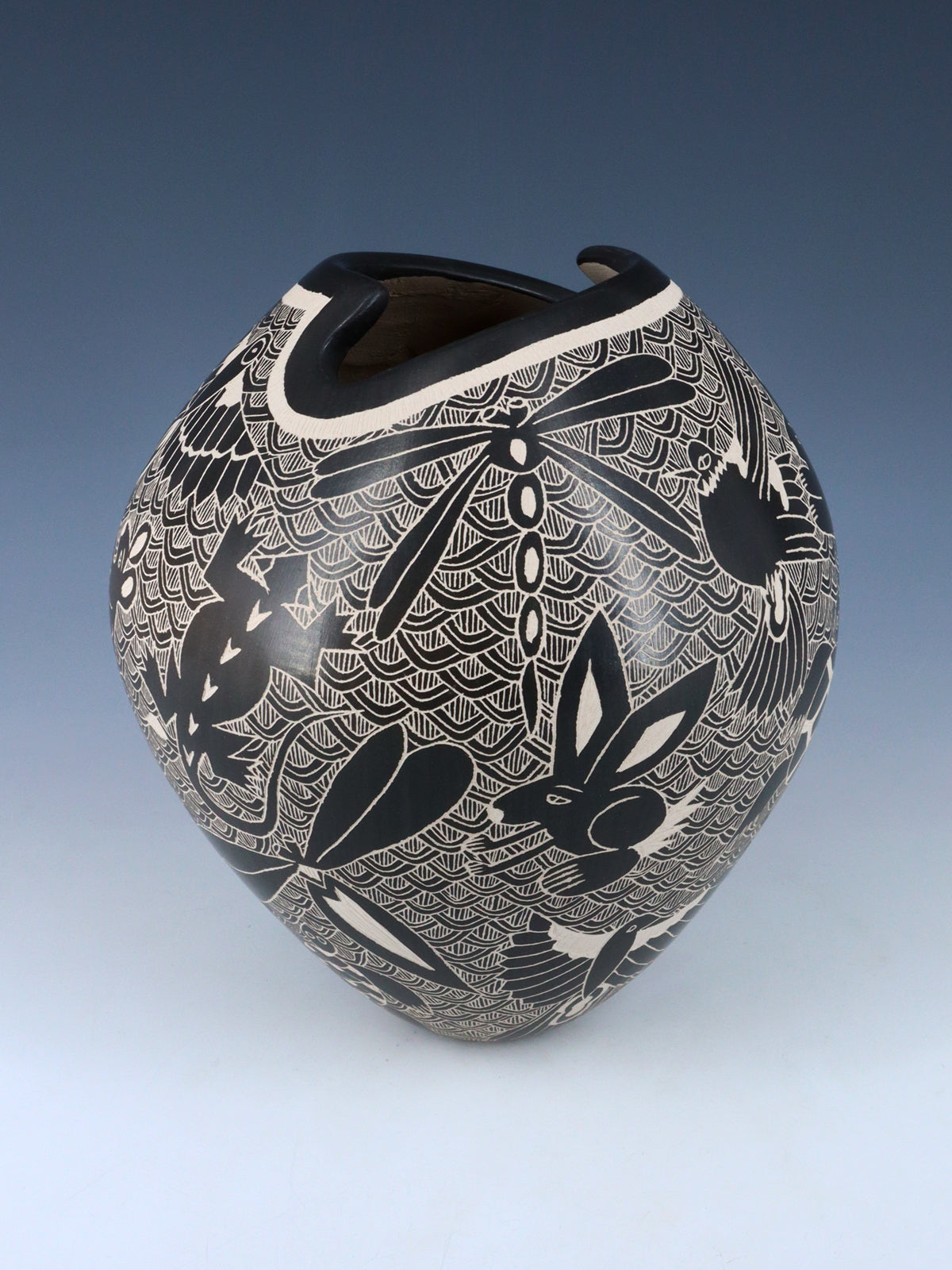Hand Coiled Mata Ortiz Black Pottery Wildlife Vase