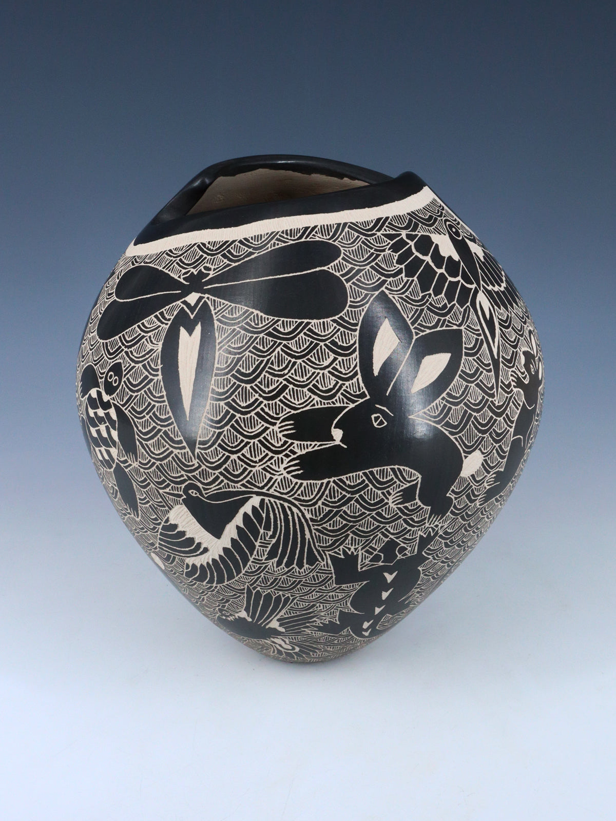 Hand Coiled Mata Ortiz Black Pottery Wildlife Vase