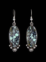 Native Jewelry Variscite Sterling Silver Dangle Earrings - PuebloDirect.com