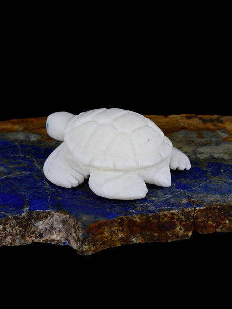 Fetiche Zuni Tortuga Turquesa