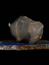 Septarian Bison Zuni Fetish