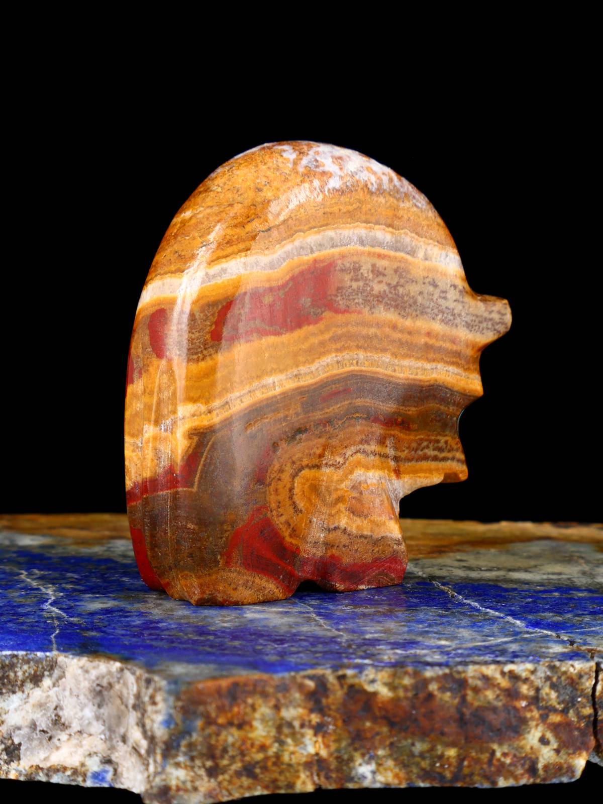 Onyx Bear Zuni Fetish