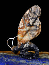 Picasso Marble Dragonfly Zuni Fetish