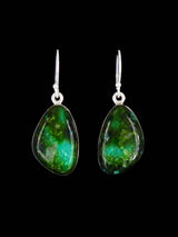 Native American Jewelry Sonoran Gold Turquoise Dangle Earrings - PuebloDirect.com