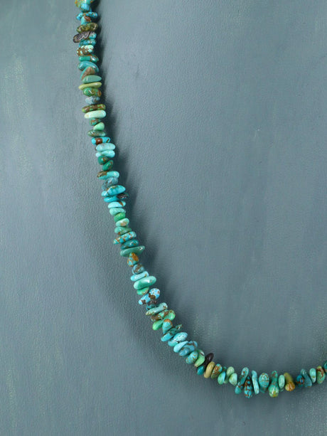20" Single Strand Natural Carico Lake Turquoise Necklace
