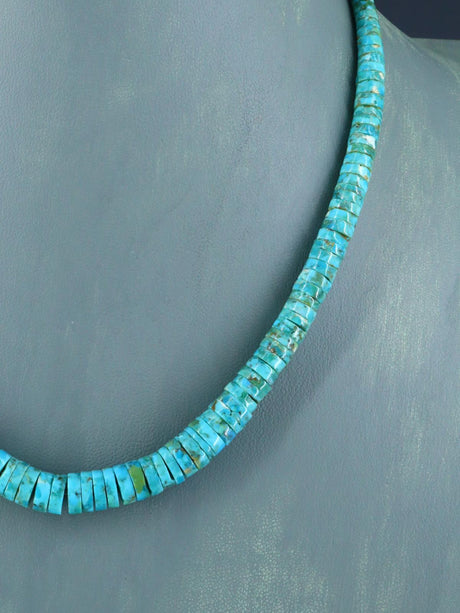 Joyería Nativa Americana Collar Turquesa y Heishi