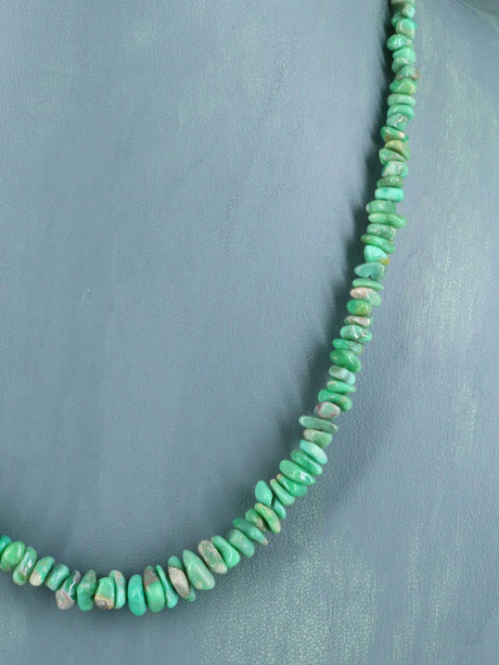 Navajo Single Strand Lucin Variscite Necklace - PuebloDirect.com