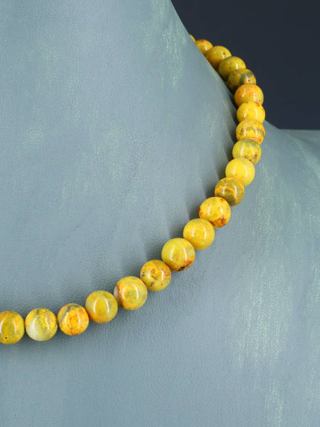 Collar de ostra espinosa y turquesa de una sola hebra de joyería nativa americana