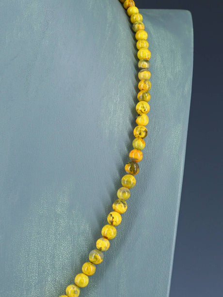 Collar de ostra espinosa y turquesa de una sola hebra de joyería nativa americana