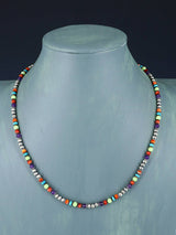 Navajo Multistone Single Strand Beaded Necklace