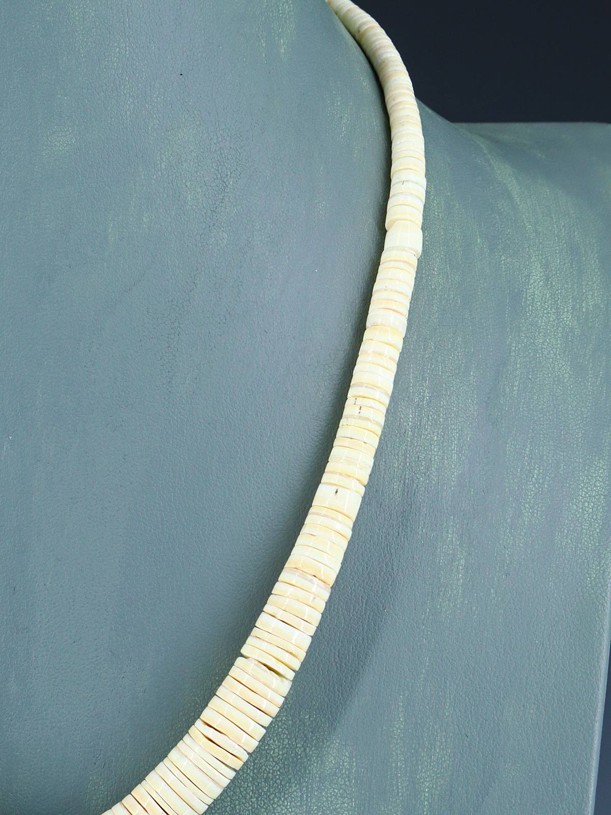 Native American Jewelry Single Strand Shell Heishi and Turquoise Necklace