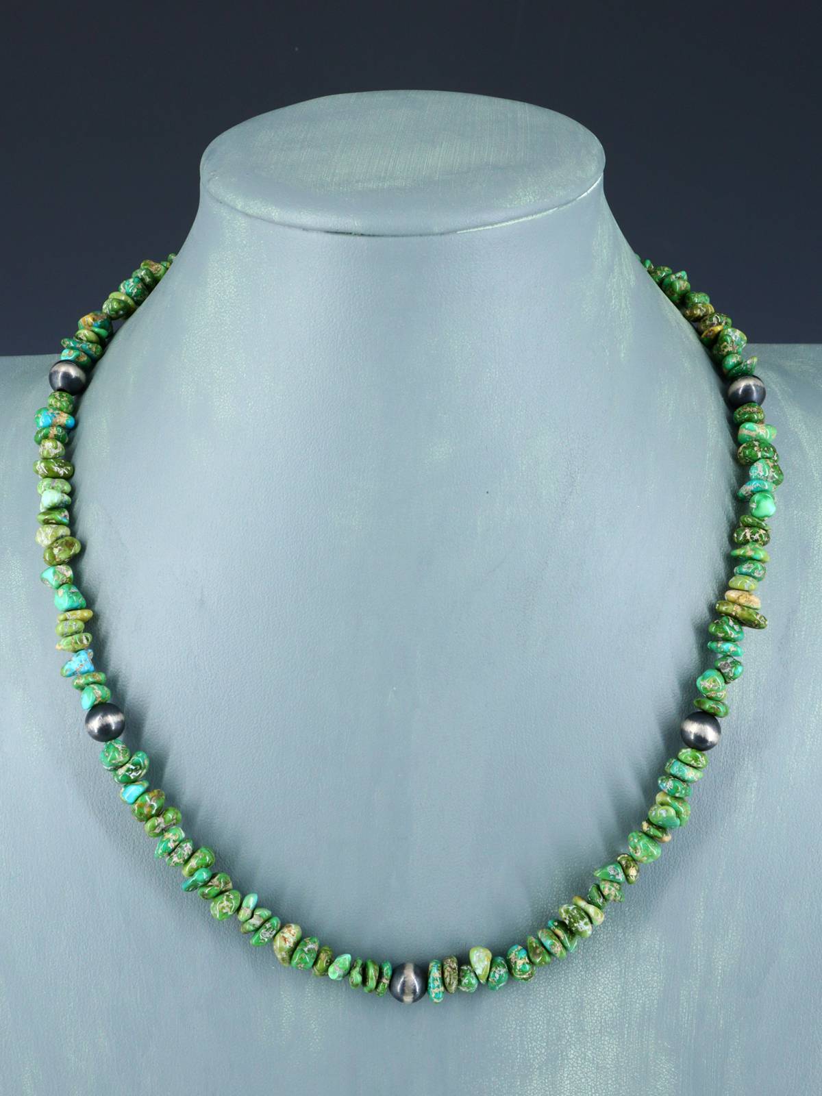 20" Single Strand Sonoran Gold Turquoise Necklace - PuebloDirect.com
