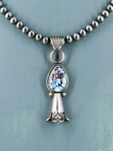 Juego de collar Naja de plata de ley nativo americano Golden Hill turquesa