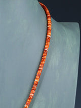 Native American Jewelry Turquoise Heart and Spiny Oyster Necklace