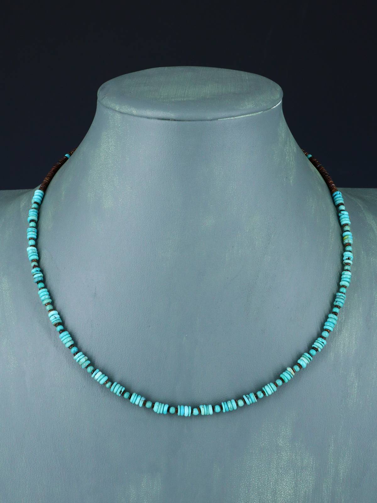 Native American Jewelry Turquoise and Heishi Necklace