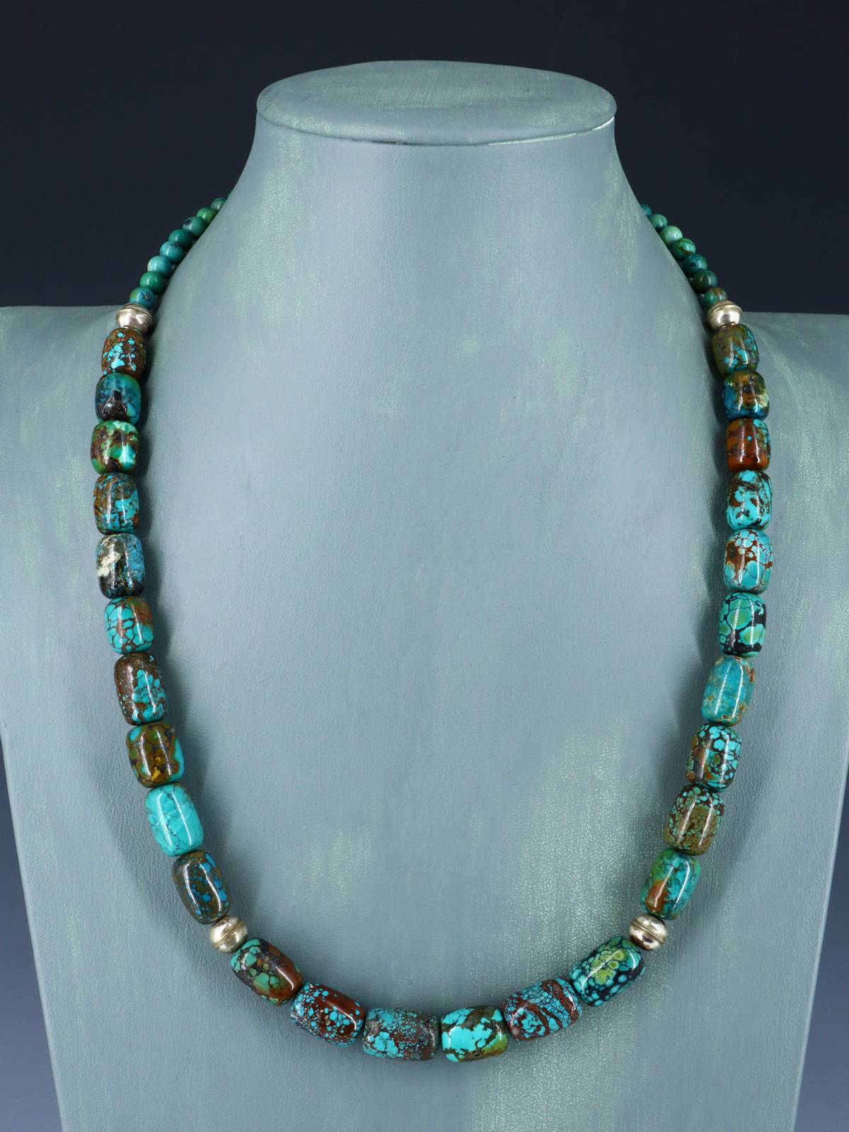 Native American Jewelry Single Strand Skyhorse Turquoise Necklace