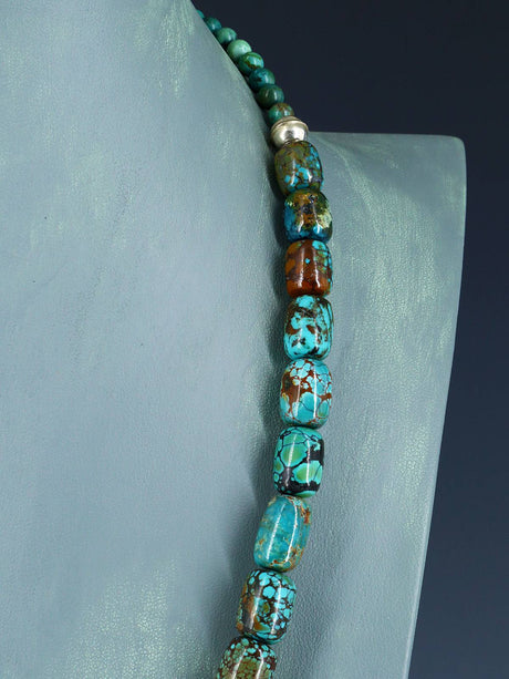 Native American Jewelry Single Strand Skyhorse Turquoise Necklace