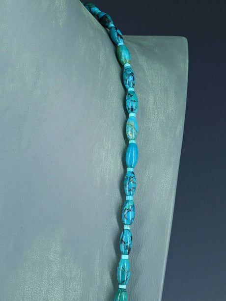 Native American Jewelry Single Strand Turquoise Necklace