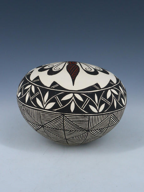 Cerámica pintada a mano de Acoma Pueblo