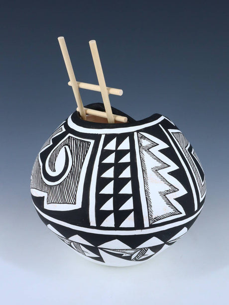 Acoma Style Painted Pueblo Hand Coiled Pottery with Ladder - PuebloDirect.com