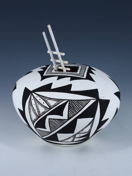 Acoma Style Painted Pueblo Hand Coiled Pottery with Ladder - PuebloDirect.com