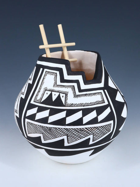 Acoma Style Painted Pueblo Hand Coiled Pottery with Ladder - PuebloDirect.com