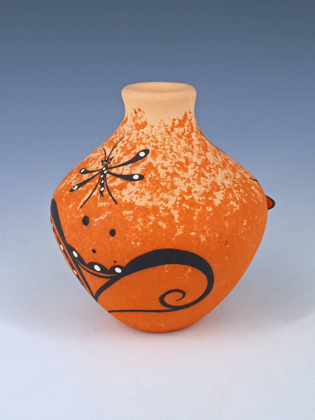 Vase de poterie fait à la main de lézard de Zuni Pueblo