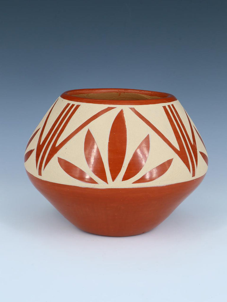 Santa Ildefonso Pueblo Hand Coiled Pottery Seed Pot - PuebloDirect.com