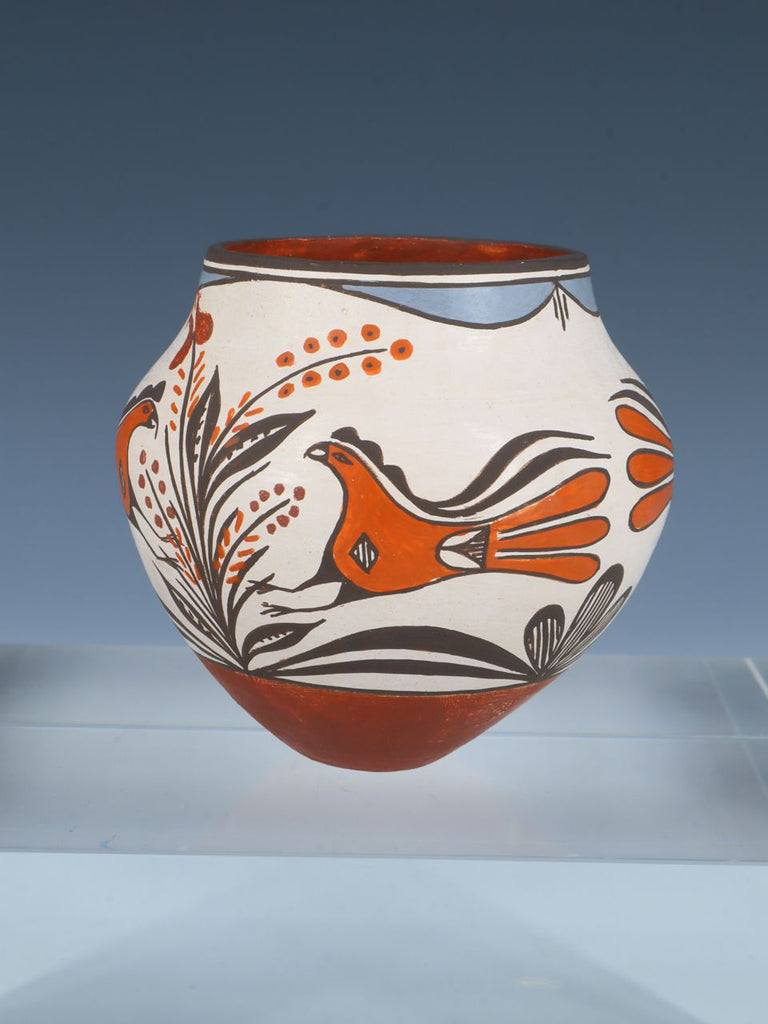 Acoma Pueblo Hand Coiled Parrot Motif Pottery - PuebloDirect.com