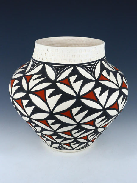 Acoma Pueblo Black and White Pottery