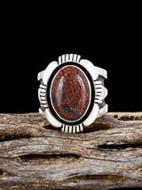 Navajo Sterling Silver Dinosaur Bone Ring, Size 9