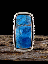 Anillo de plata de ley con pietersita, talla 7