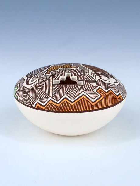 Hand Coiled Acoma Pueblo Insect Fine Line Seed Pot - PuebloDirect.com