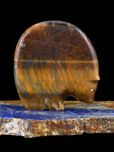 Tiger Eye Medicine Bear Zuni Fetish