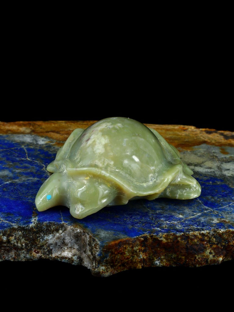 Serpentine Turtle Zuni Fetish - PuebloDirect.com