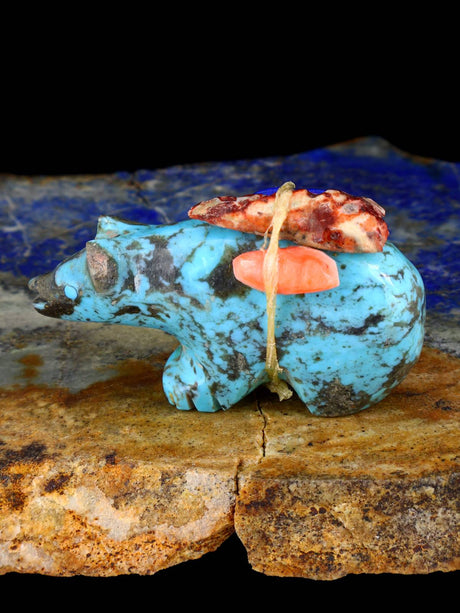 Turquoise Bear Zuni Fetish