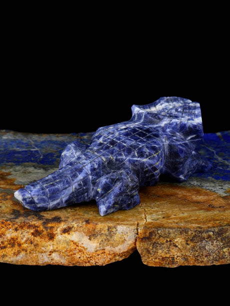 Sodalite Horned Lizard Zuni Fetish