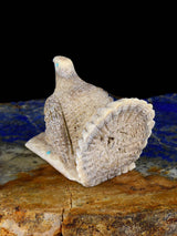 Antler Bird Zuni Fetish