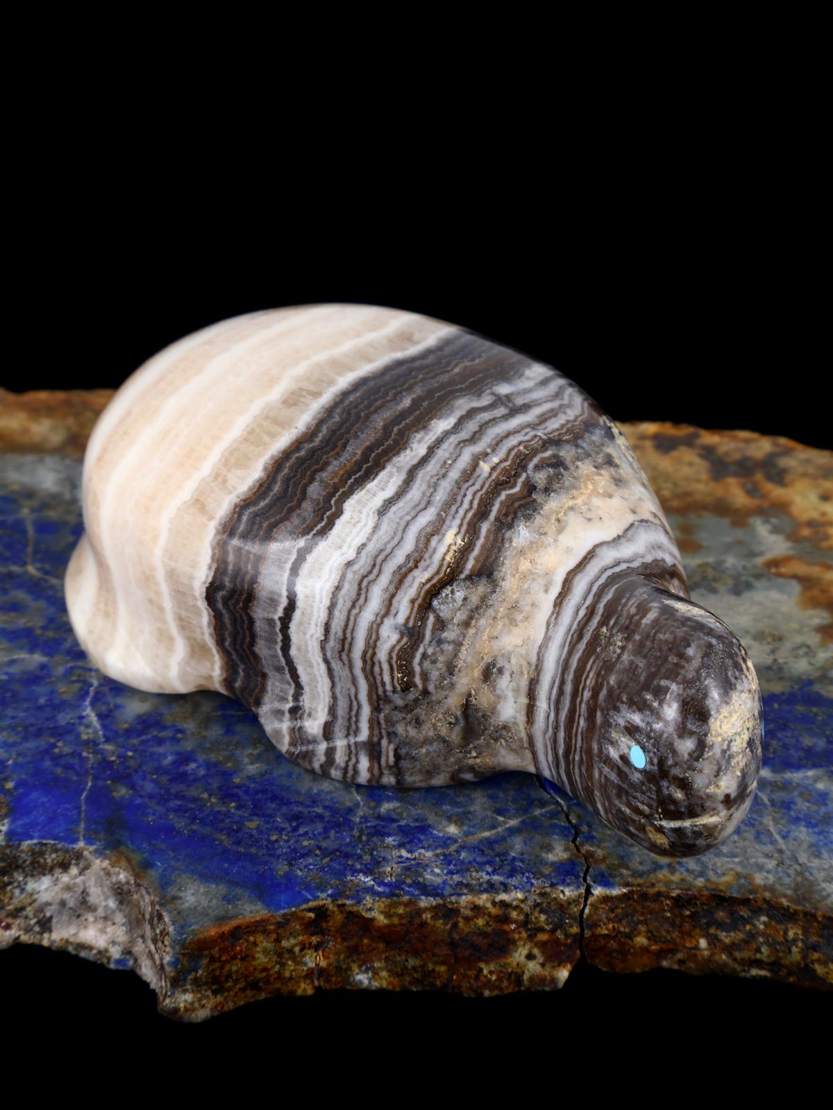 Onyx Turtle Zuni Fetish