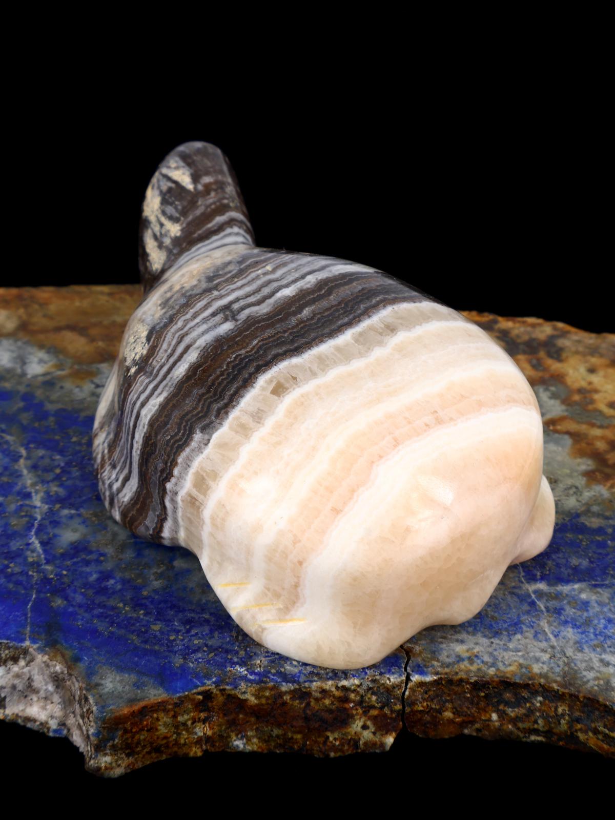 Onyx Turtle Zuni Fetish