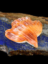 Spiny Oyster Bird Zuni Fetish